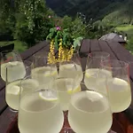 Gut Trogern * Bad Eisenkappel