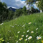Gut Trogern * Bad Eisenkappel