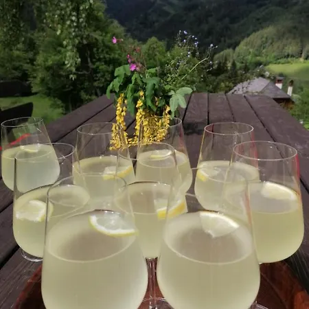 Gut Trogern * Bad Eisenkappel