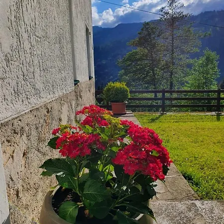 Gut Trogern Casa de hóspedes