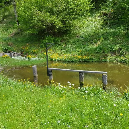 Gut Trogern *