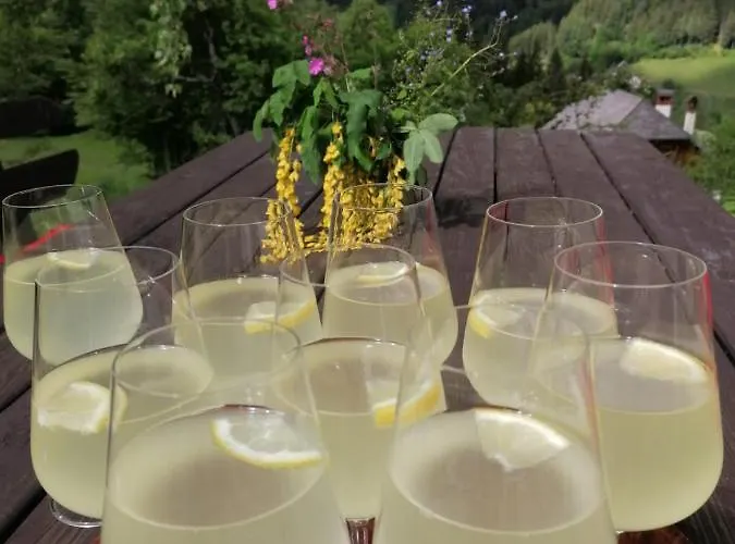 Gut Trogern * Bad Eisenkappel