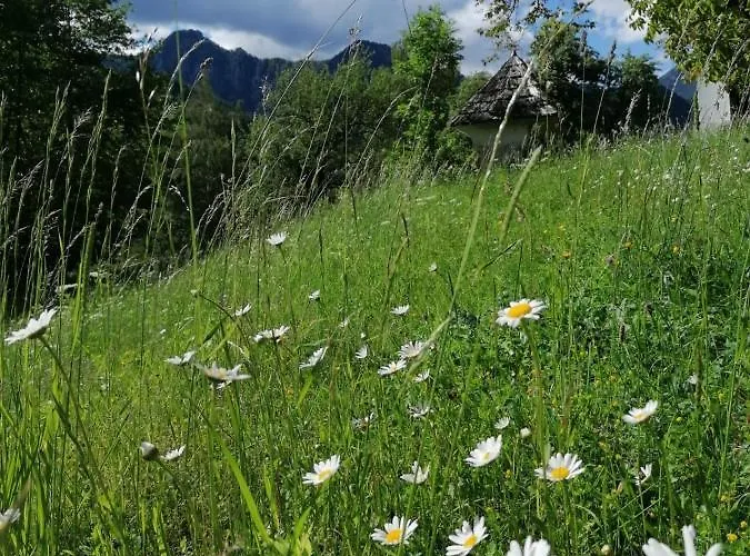 Gut Trogern * Bad Eisenkappel